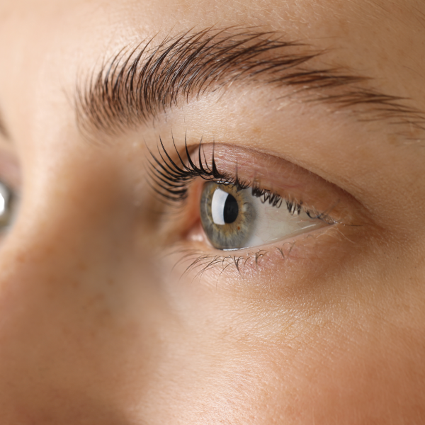 Rehaussement de cils classique avec teinture