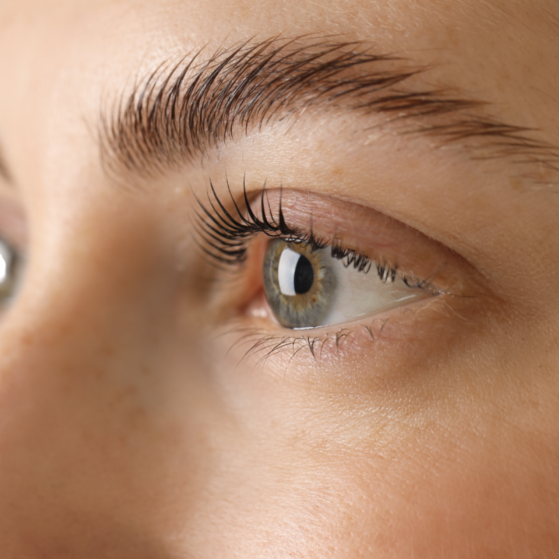 Rehaussement de cils classique avec teinture